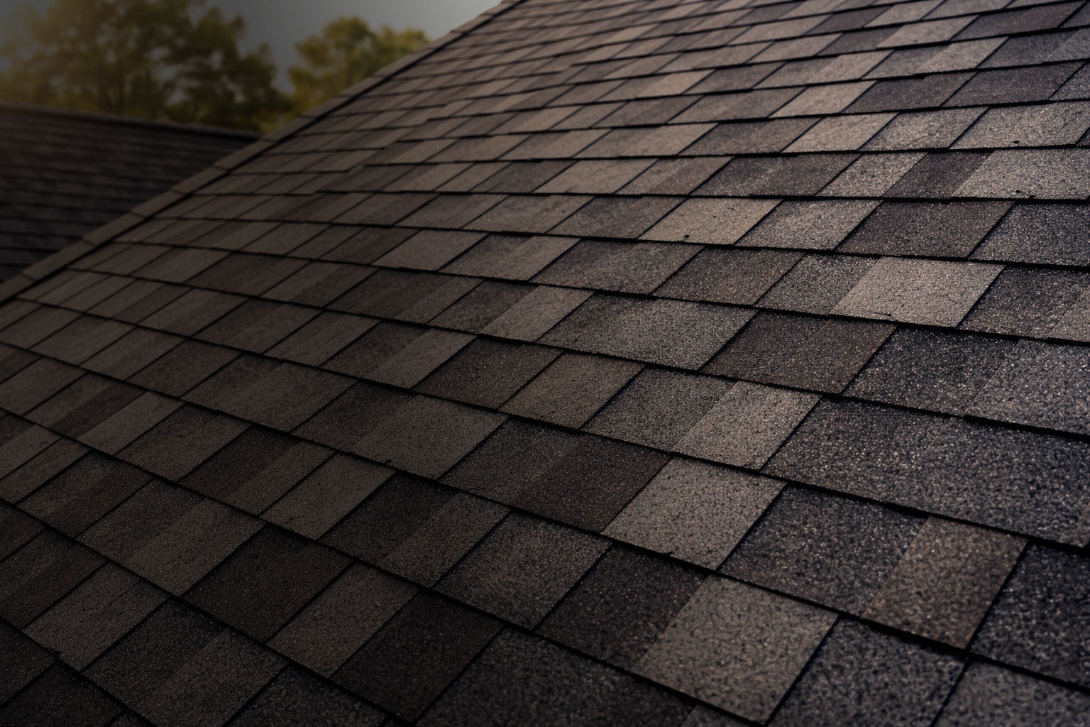 Close-up photo of dark asphalt roof shingles in sunlight